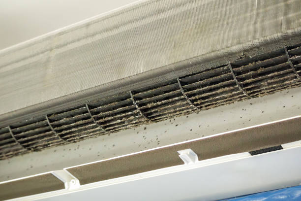 Best Air Duct Cleaning Near Me  in Princeton, NJ
